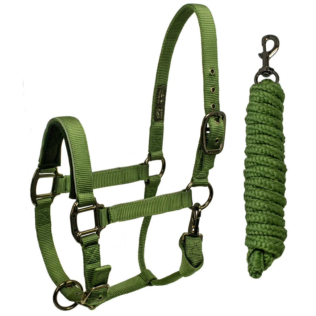 DERBY ORIGINALS DESERT ROSE COLLECTION BLACKOUT REFLECTIVE SAFETY STABLE HORSE HALTERS WITH MATCHING LEAD ROPES