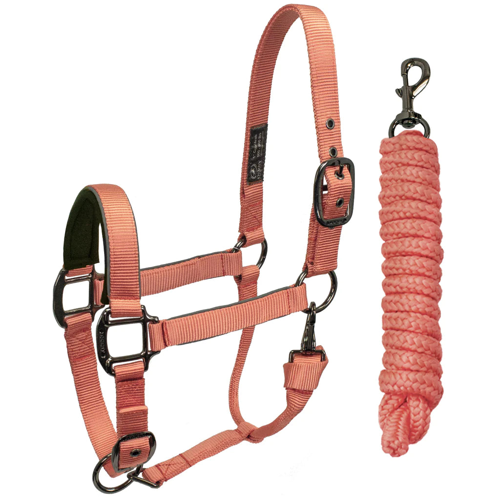 DERBY ORIGINALS DESERT ROSE COLLECTION BLACKOUT REFLECTIVE SAFETY STABLE HORSE HALTERS WITH MATCHING LEAD ROPES