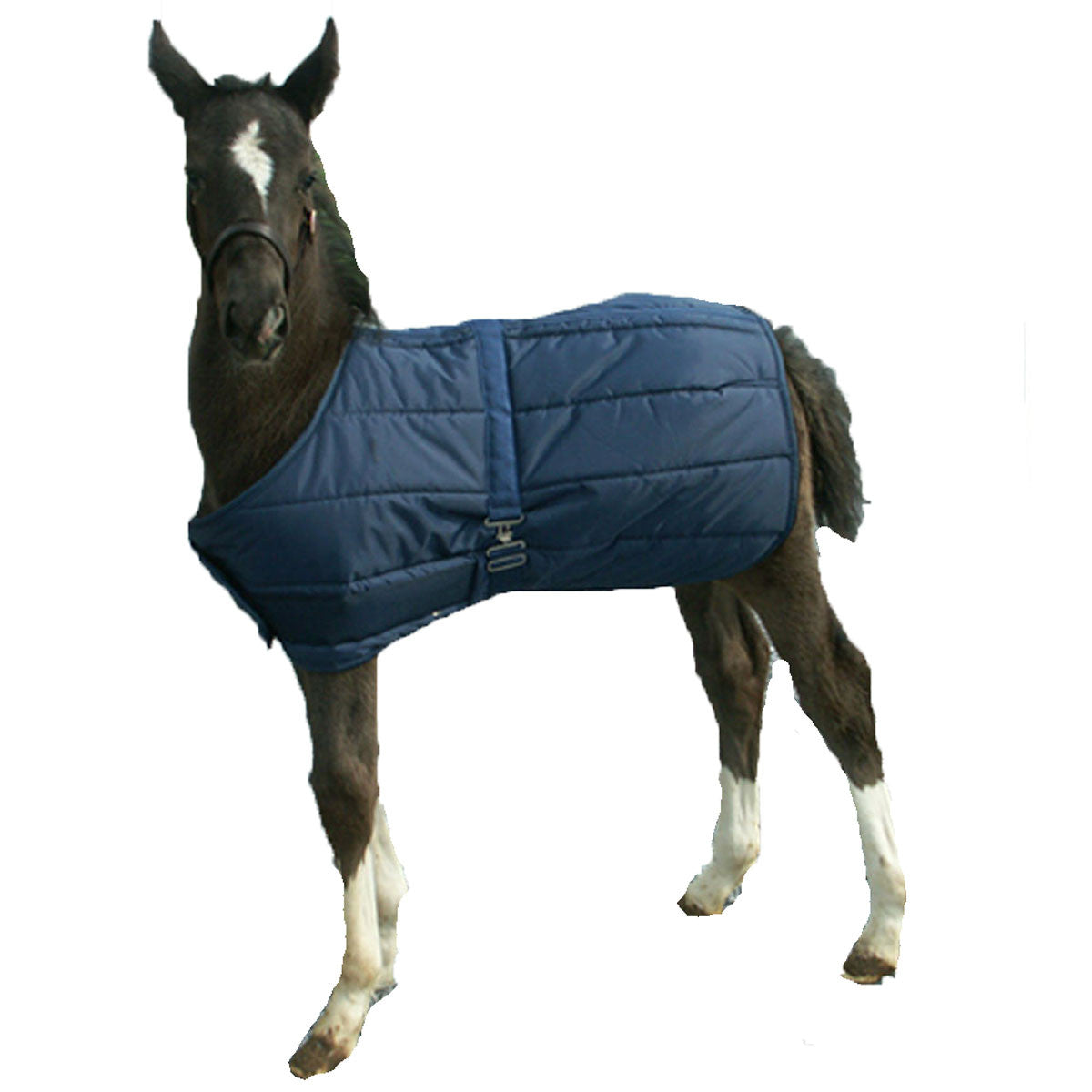 SNUGGIE QUILTED FOAL ADJUSTABLE STABLE BLANKET