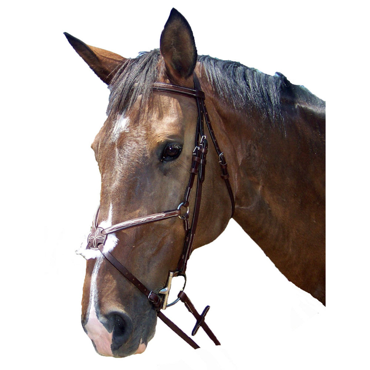 PROAM FANCY RAISED PADDED FIGURE 8 BRIDLE BROWN FULL & COB