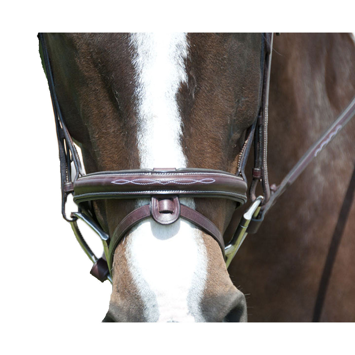 EXSELLE ELITE FANCY RAISED PADDED BRIDLE DK HAVANA COB