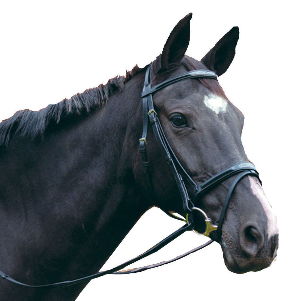 EXSELLE ELITE PLAIN & FANCY BLACK HORSE BRIDLE