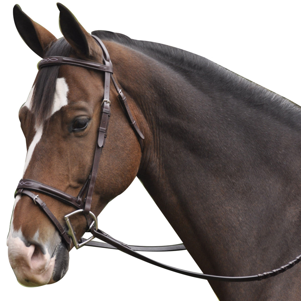 EXSELLE ELITE PLAIN & FANCY BROWN HORSE BRIDLE