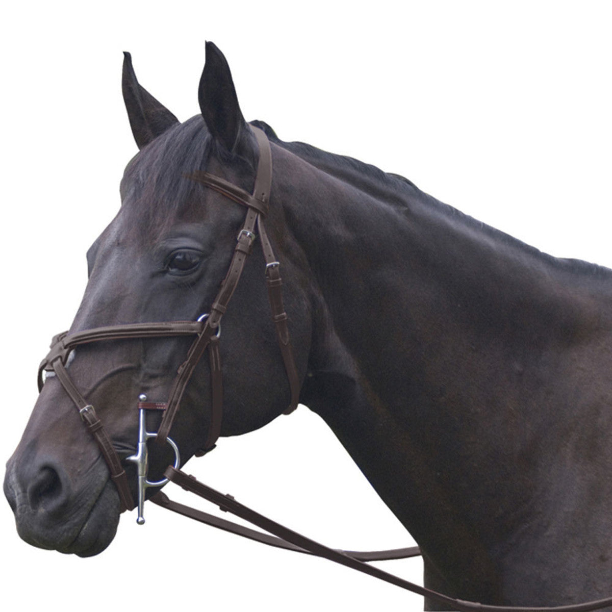 EXSELLE ELITE FANCY RAISED JUMPER DARK HAVANA HORSE BRIDLE