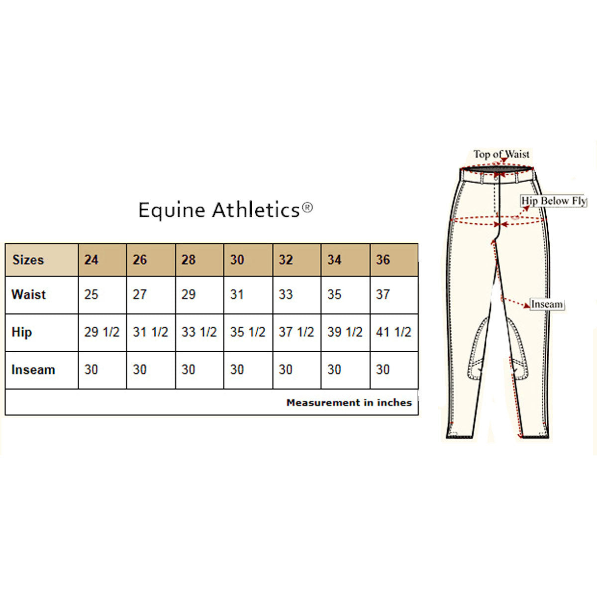 EQUINE ATHLETICS LADIES LOWRISE PULL-ON BREECHES