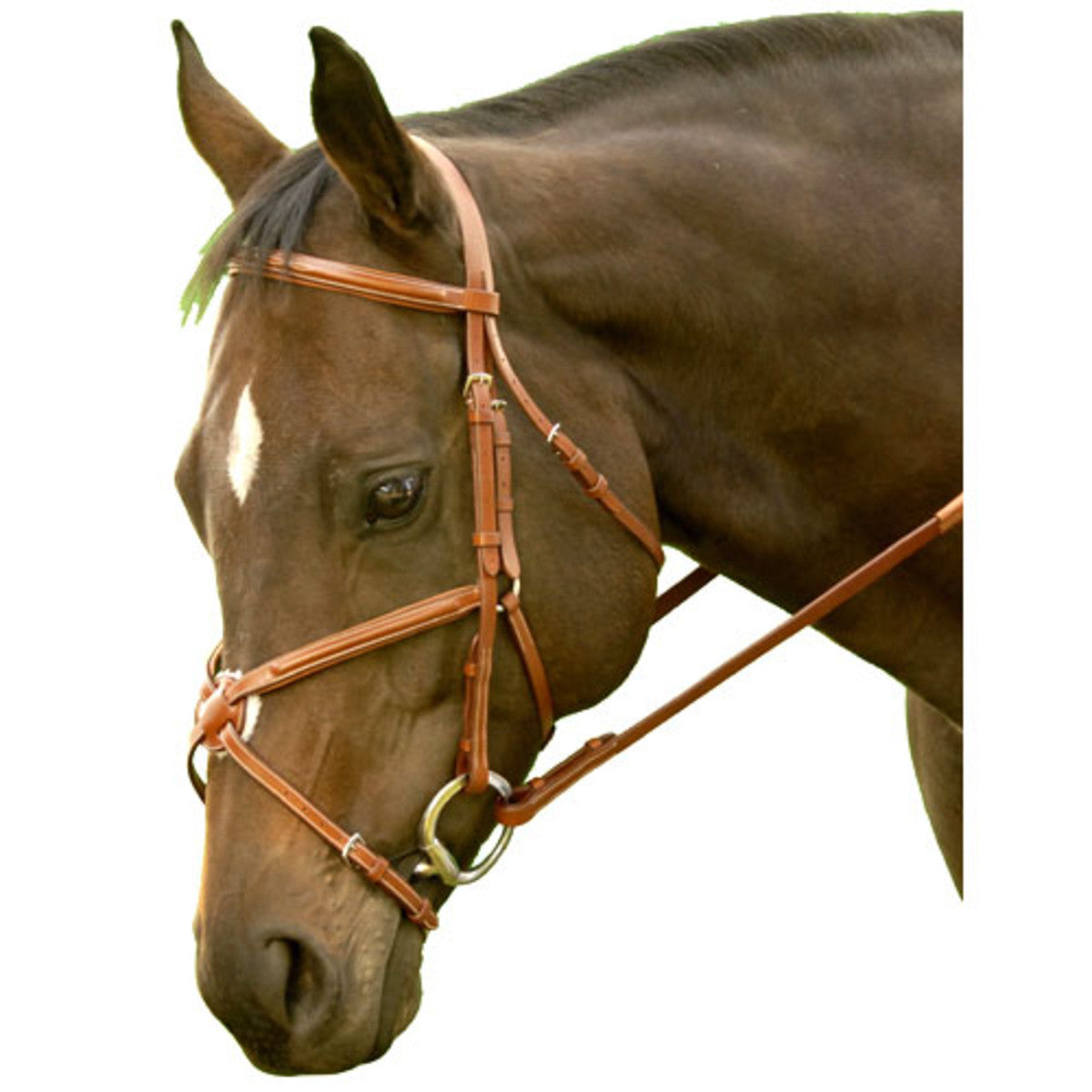 EXSELLE ELITE PLAIN RAISED JUMPER MID BROWN HORSE BRIDLE