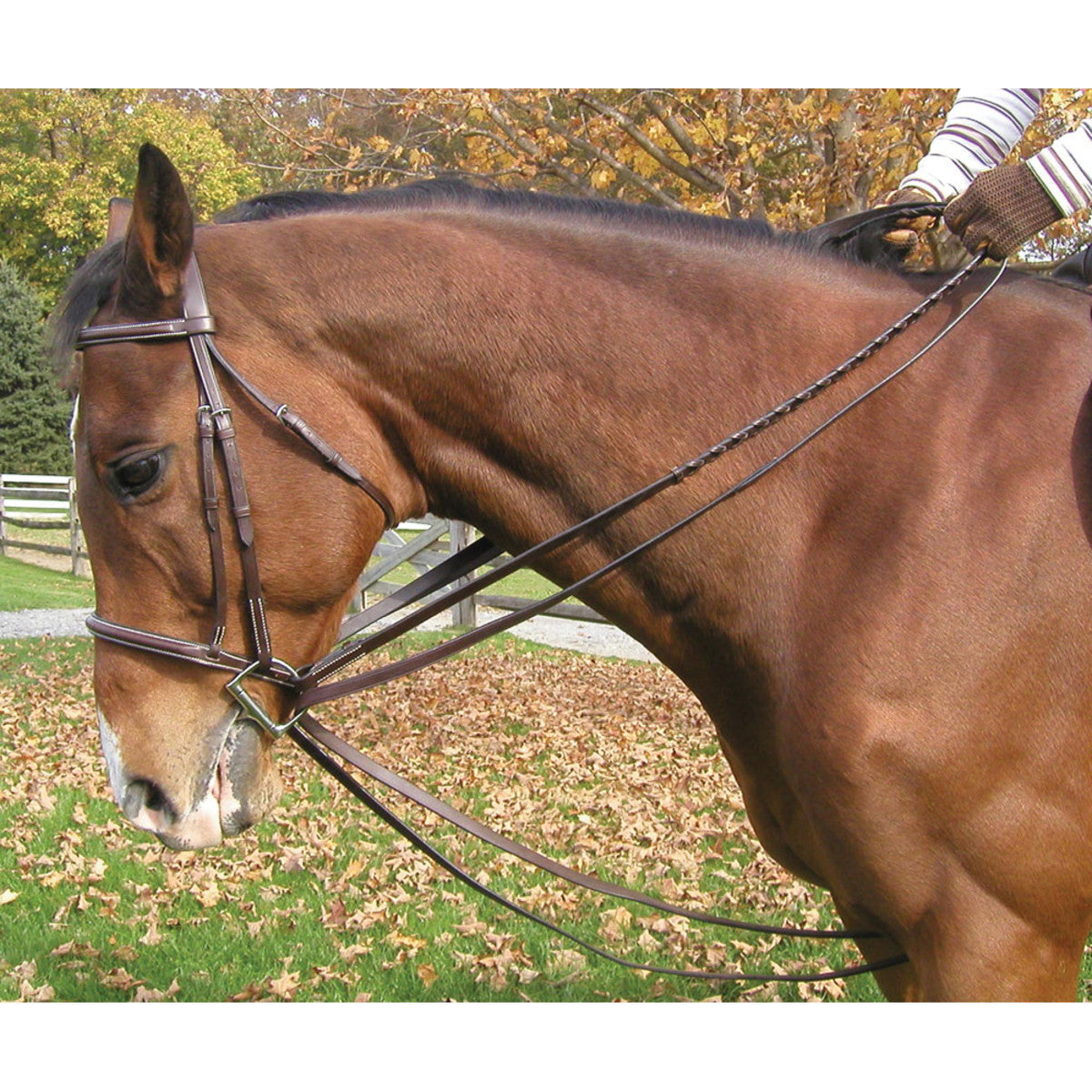 LEGACY PREMIUM DRAW REINS