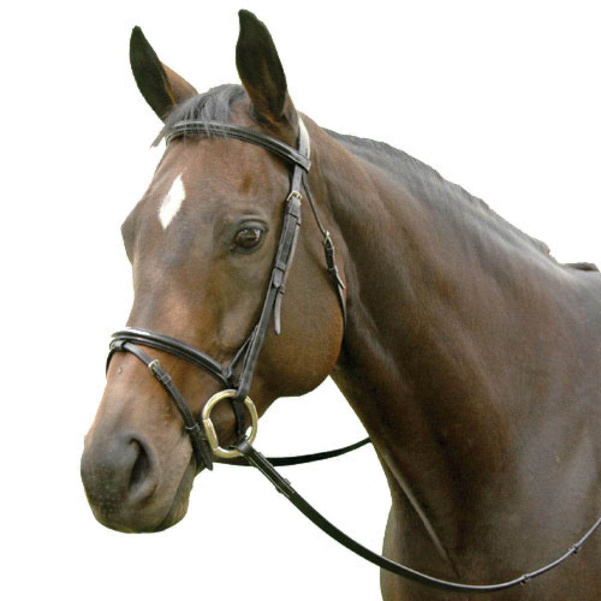 EXSELLE EVENT PLAIN RAISED BLACK HORSE BRIDLE