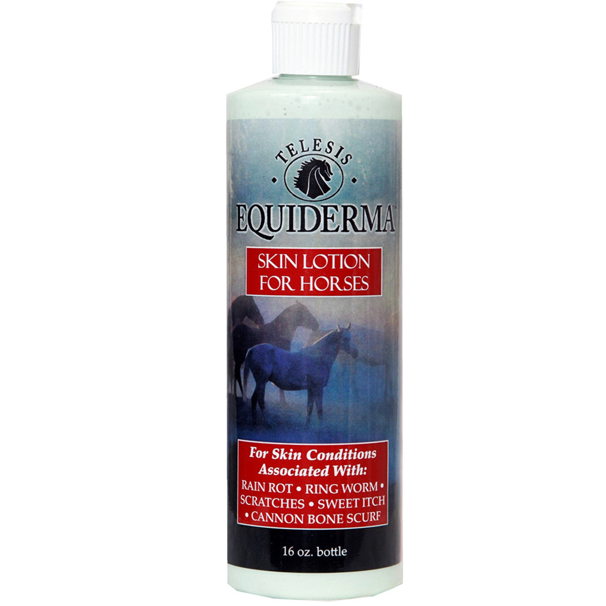 EQUIDERMA SKIN LOTION 16 OZ