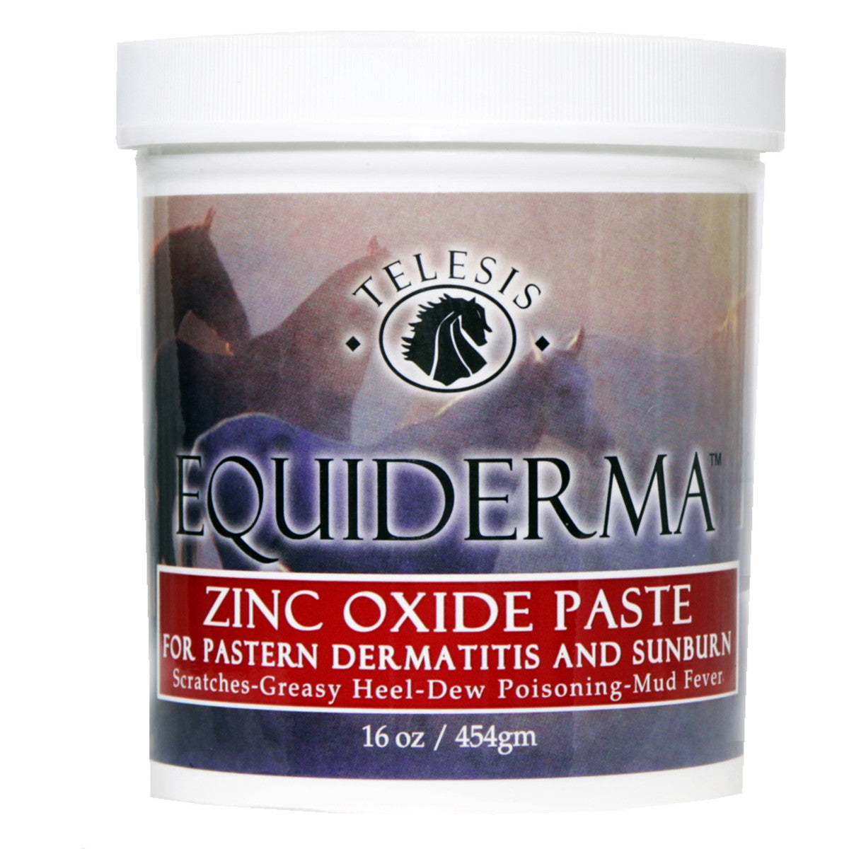 EQUIDERMA ZINC PASTE 16 OZ