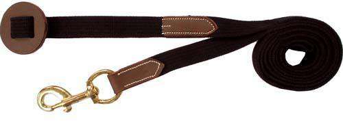DERBY ORIGINALS MATCHING LEATHER AND WEB HORSE LEAD WITH BRASS SNAP AND STOPPER