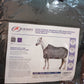 WATER RESISTANT REFLECTIVE WINTER STABLE HORSE BLANKET