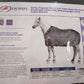 WATER RESISTANT REFLECTIVE WINTER STABLE HORSE BLANKET