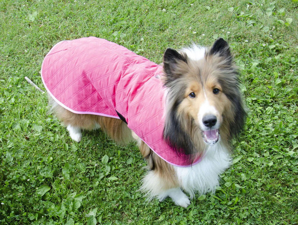 DERBY ORIGINALS HYDRO COOLING DOG JACKET WITH HARNESS COMPATIBLE OPENING - REFLECTS HEAT & KEEPS DOGS COOL FOR HOURS