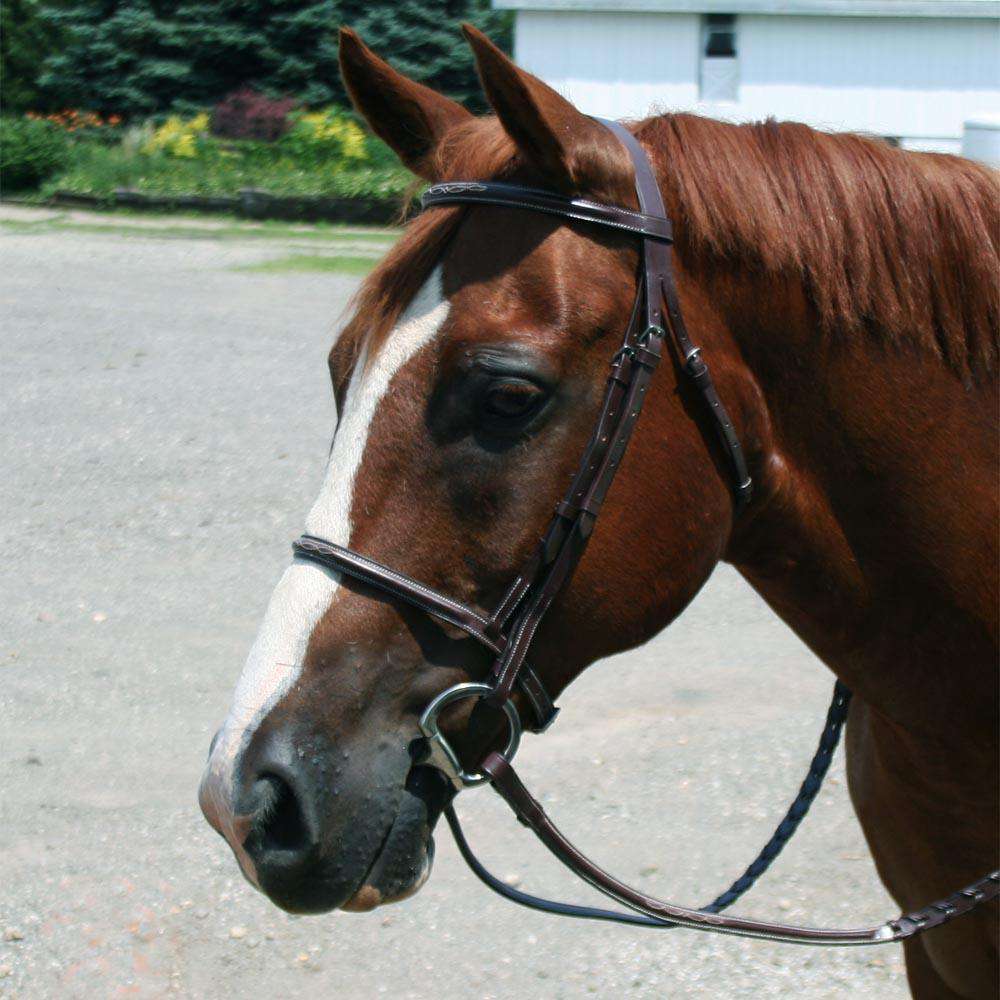 PARIS TACK EVERYDAY RAISED FANCY STITCHED LEATHER ENGLISH SCHOOLING BRIDLE WITH LACED REINS