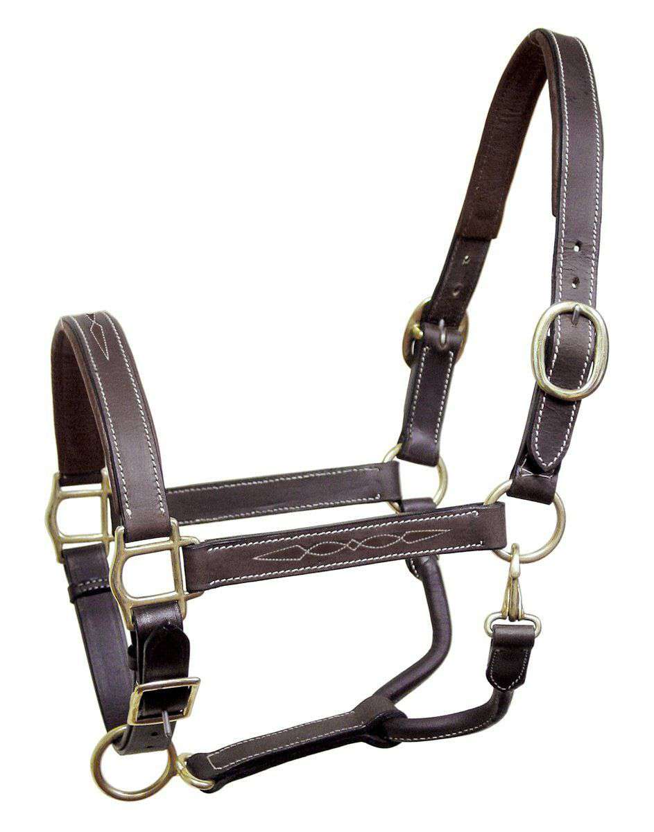 DERBY ORIGINALS ENGLISH OPULENCE SERIES - LIVERPOOL - FANCY STITCH PADDED ADJUSTABLE LEATHER HALTER