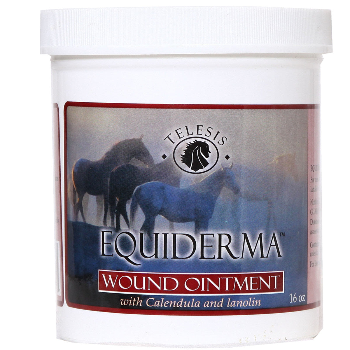 EQUIDERMA WOUND OINTMENT 16 OZ